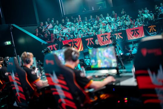 藏致命条款 藏致命条款